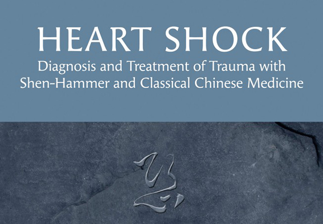 Heart Shock Book